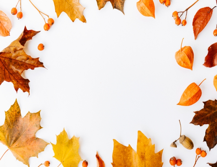 Fall leaves