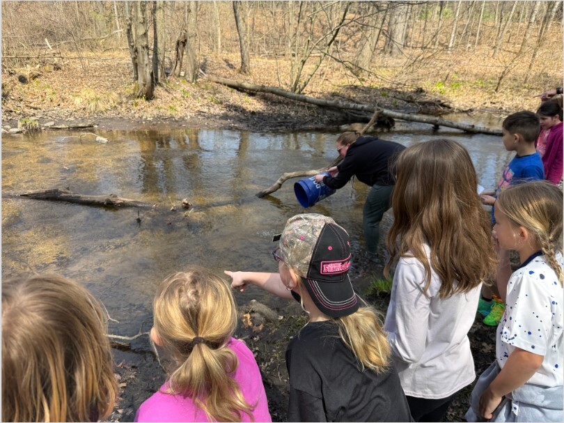 Mrs. Ejups releases salmon from a blue bucket while students watch